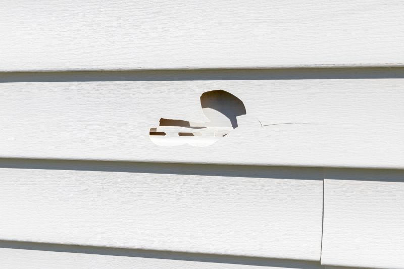 Vinyl Siding Repair Image 15