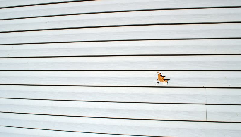 Vinyl Siding Repair Image 9